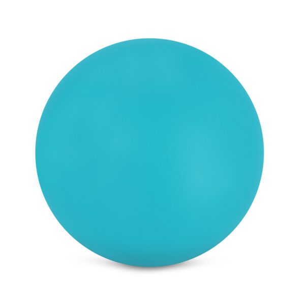Duiknet met ballen voor kinderen - Spokey DIVING NET