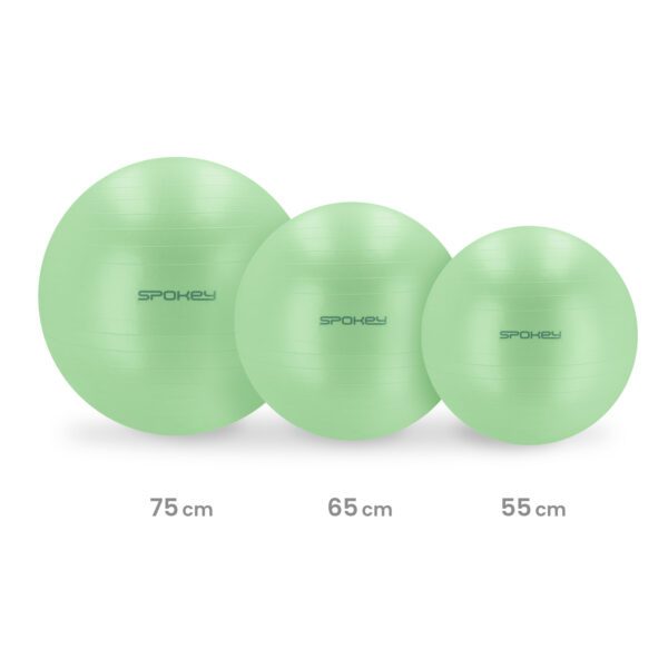 Spokey FITBALL gymbal met pomp 65/75 cm