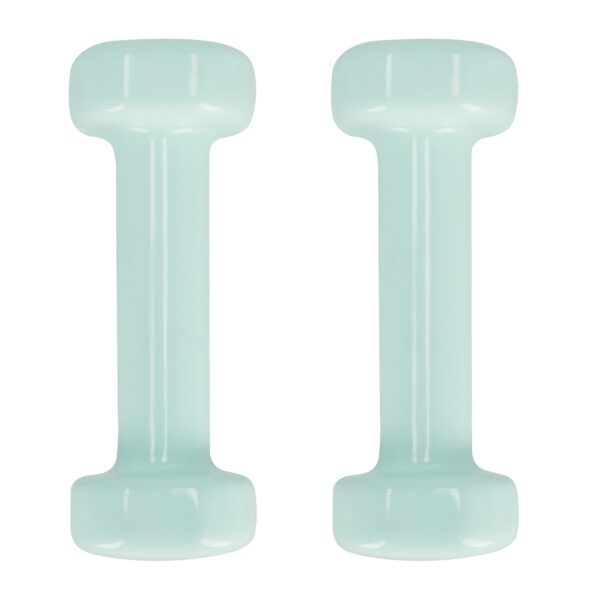 Vinyl dumbbells Spokey SHAPE 2x 0,5 kg blauw